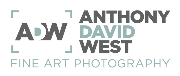 anthonywestfineart.com